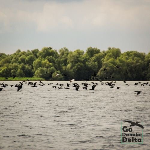 Excursia de patru zile în Delta Dunării cu catamaranul