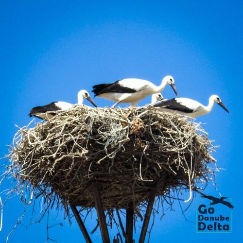 Excursia de patru zile în Delta Dunării cu catamaranul