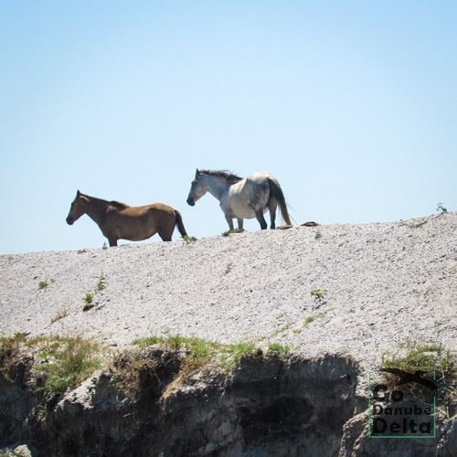 Excursia de patru zile în Delta Dunării cu catamaranul