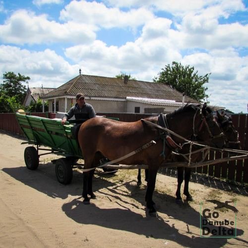 Excursia de patru zile în Delta Dunării cu catamaranul