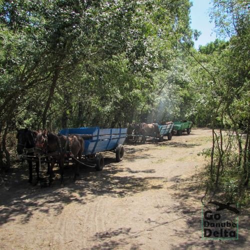 Excursia de patru zile în Delta Dunării cu catamaranul