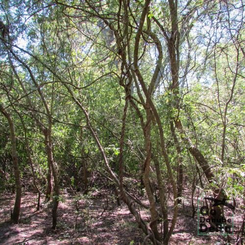Excursia de patru zile în Delta Dunării cu catamaranul