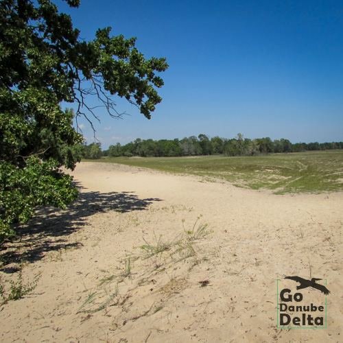 Excursia de patru zile în Delta Dunării cu catamaranul