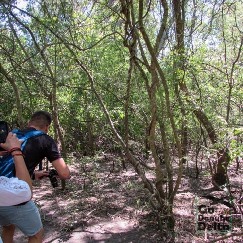 Excursia de patru zile în Delta Dunării cu catamaranul