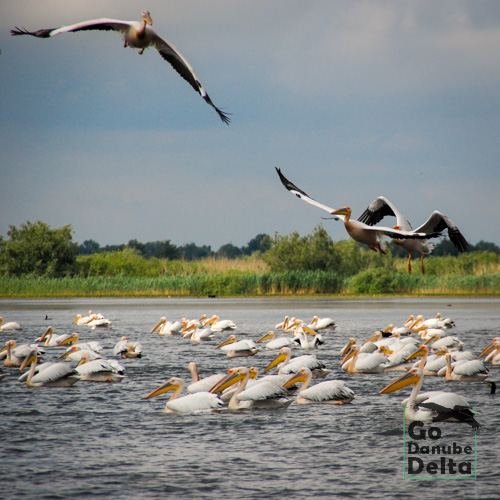 Excursia de patru zile în Delta Dunării cu catamaranul