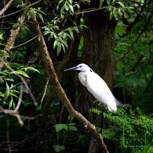Excursia de patru zile în Delta Dunării cu catamaranul