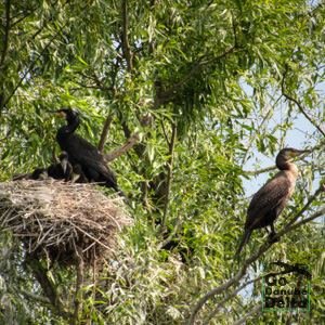 Go Danube Delta