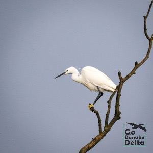 Go Danube Delta