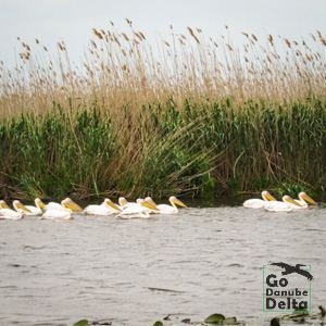 Go Danube Delta