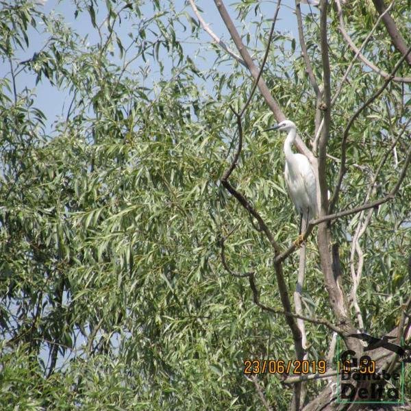 Galerie Foto, 23 iunie 2019 – 1