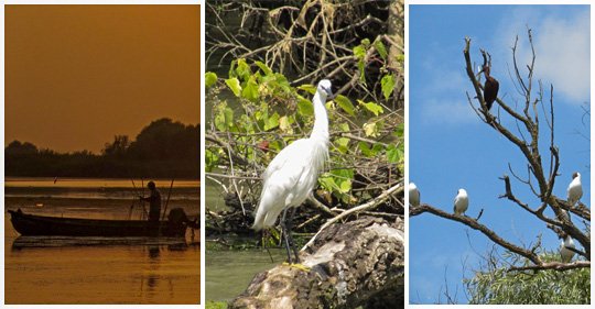 Doua zile în natura culminind cu superbul apus Deltaic pe lacuri